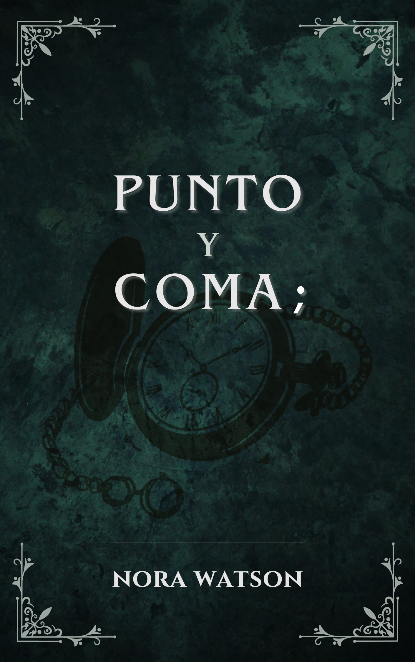 No hay una imagen disponible