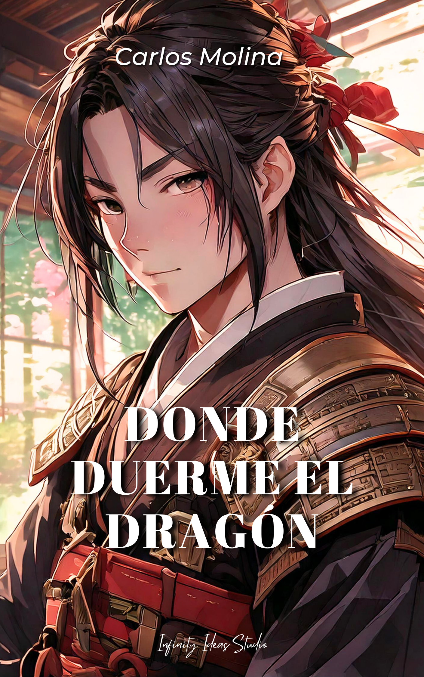 No hay una imagen disponible