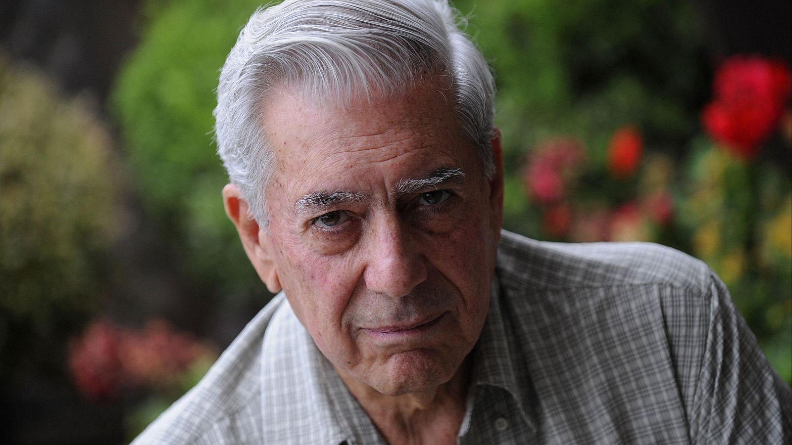 Maio Vargas Llosa