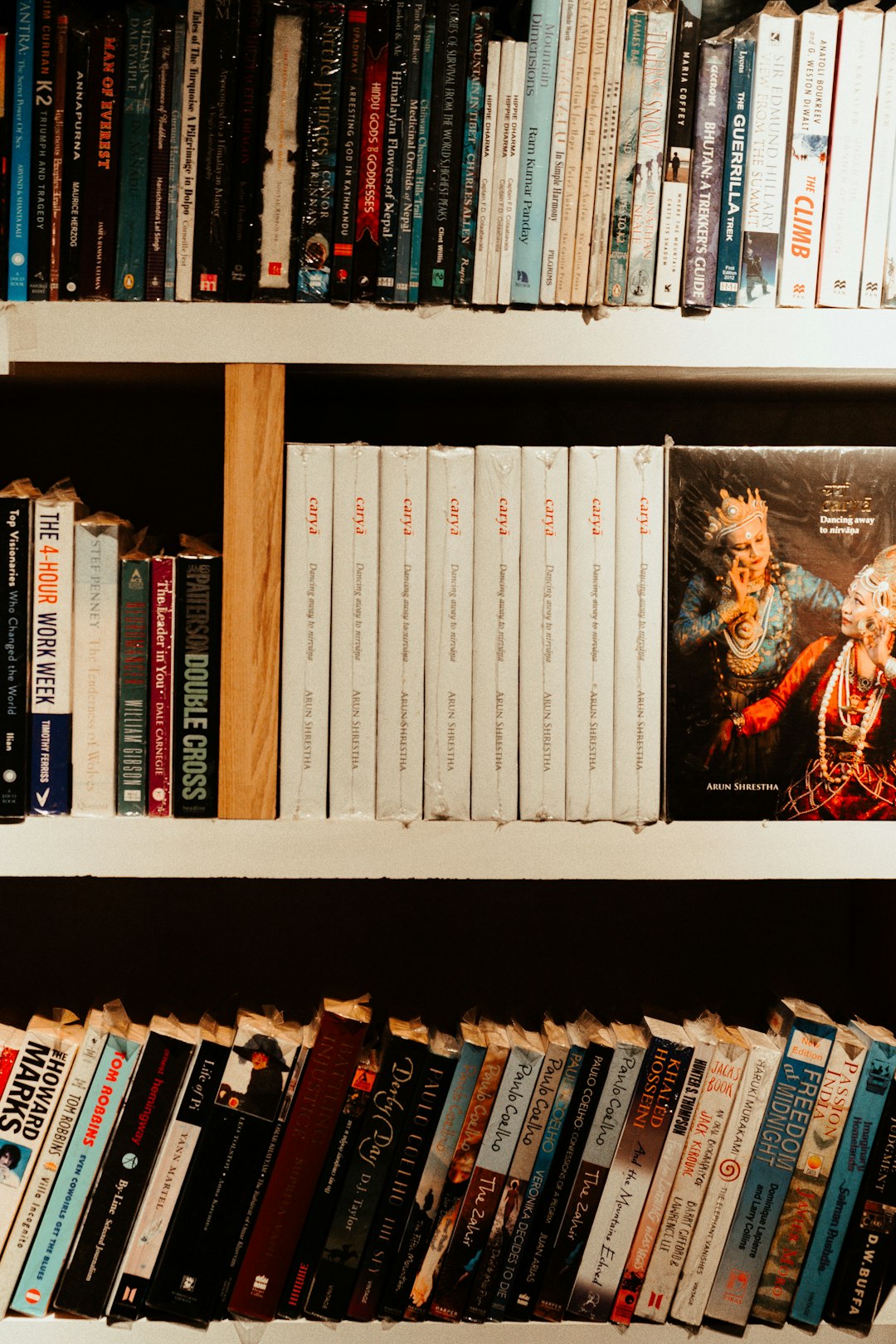 Antologías de terror imprescindibles para Halloween literario vivo